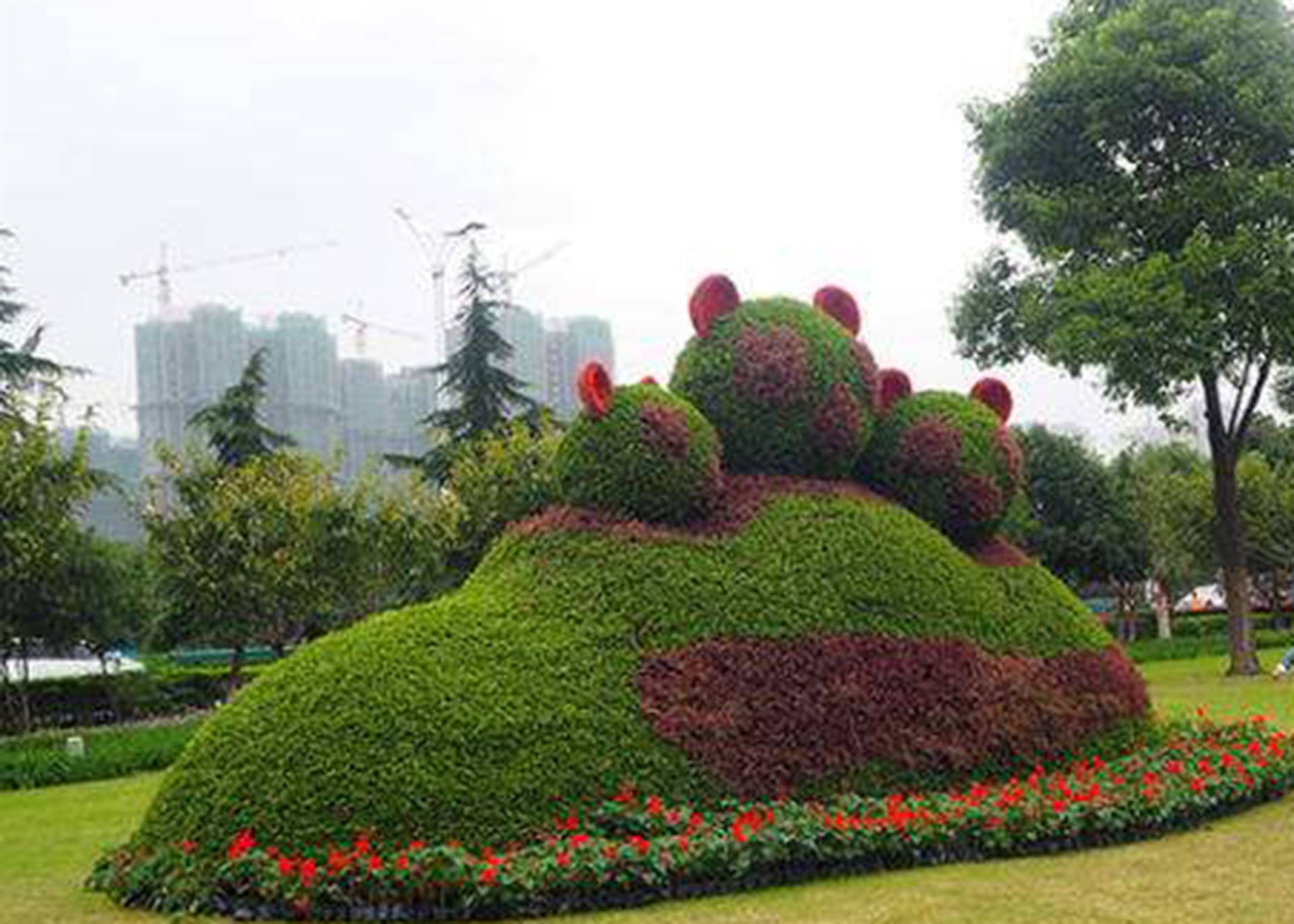 立体花坛制作 城市绿雕 五色草造型 优质五色草种植基地