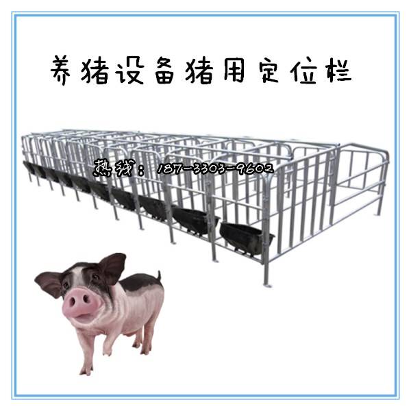 请注意:本图片来自泊头市宏基养殖设备厂提供的辽宁母猪定位栏多少钱一组 国标管猪用定位栏厂家产品,图片仅供参考,辽宁母猪定位栏多少钱一组 国标管猪用定位栏厂家产品会因为批次的不同可能与本图片不一致,请以收到的实物为准。