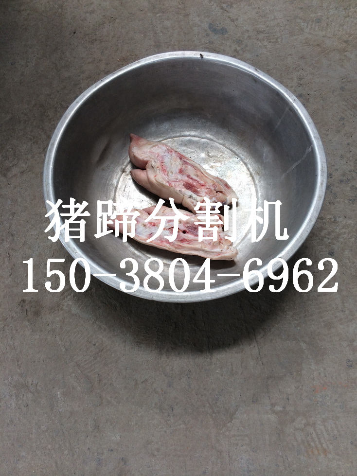 猪蹄分割机猪蹄切割机蹄类切割机
