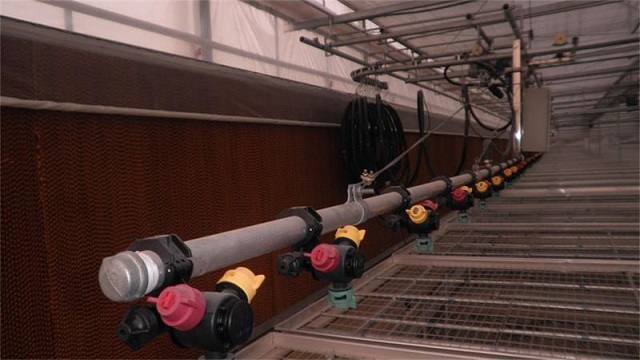 平移自走温室喷灌机大棚育苗喷水喷灌机水车