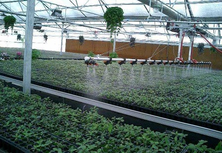 遥控邯郸温室大棚蔬菜花卉育苗喷灌机喷水车