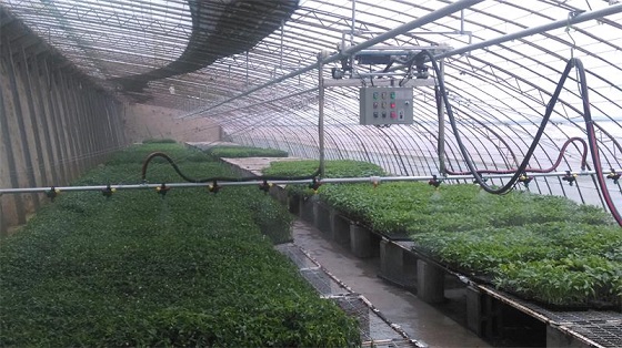 遥控邯郸温室大棚蔬菜花卉育苗喷灌机喷水车