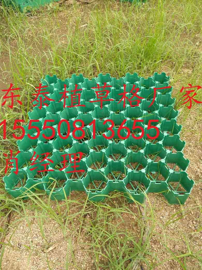 大连绿化植草格7公分护坡植草格