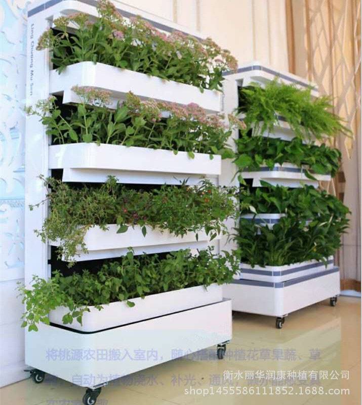 植物净化器 阳台种菜机无土栽培设备 蔬菜种植机厂家直销