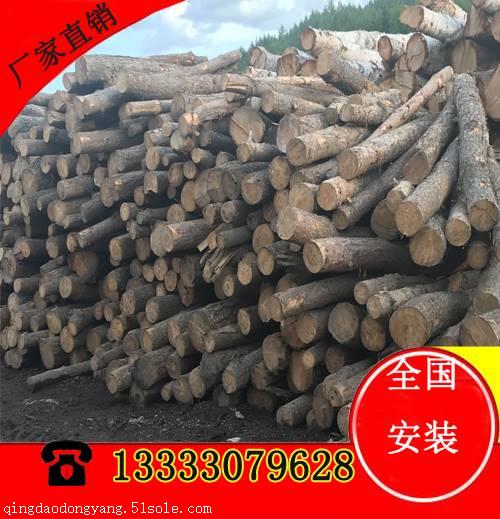 室内体育木地板防虫防蛀从选材做起