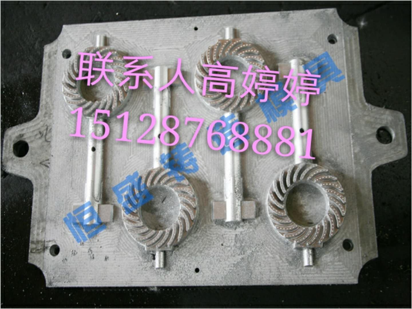 泊头恒盛模具专业生产HS8070双工位水