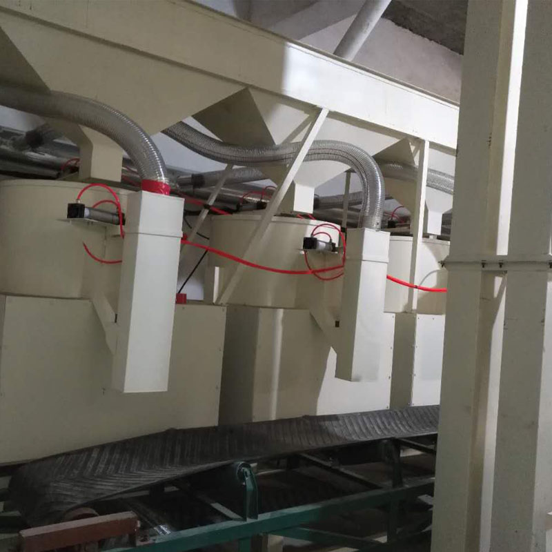 蚕豆加工流水线