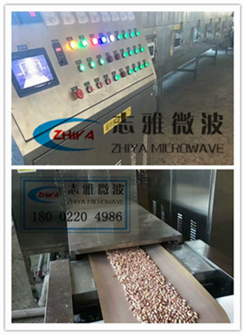 微波黄豆烘干机