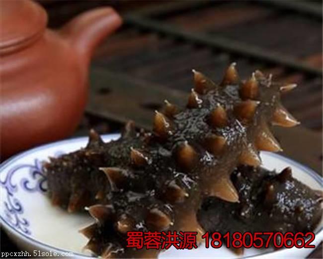 辽宁省丹东市养殖海参价格多少一斤 即食海参