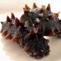 陕西省渭南市大连野生海参多少钱一斤 半干海参