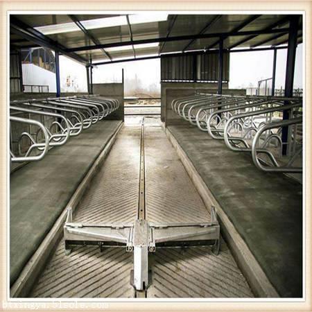 湖南猪场养殖刮粪机 全自动化设置生产厂家