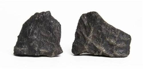 狗头金拍卖去哪放心