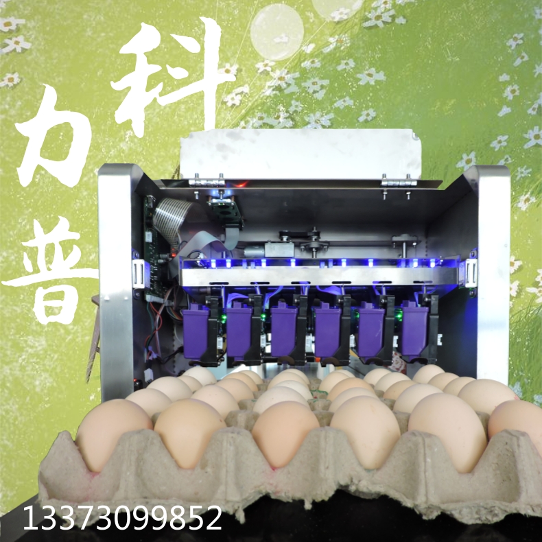 整盘鸡蛋喷码机  不需要清洗维护