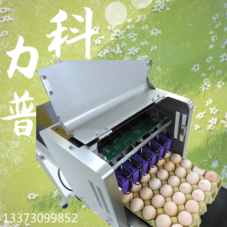 整盘鸡蛋喷码机  不需要清洗维护