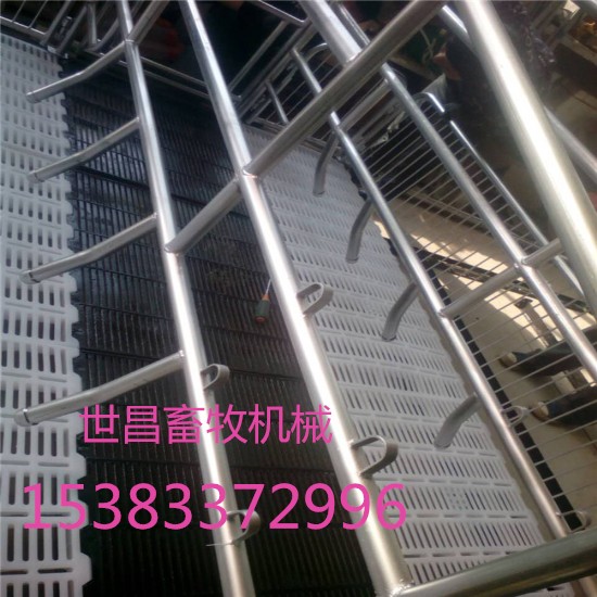 加高加宽设备保育床定位栏养猪设备生产厂家