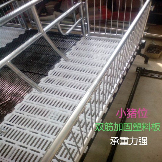 加高加宽设备保育床定位栏养猪设备生产厂家