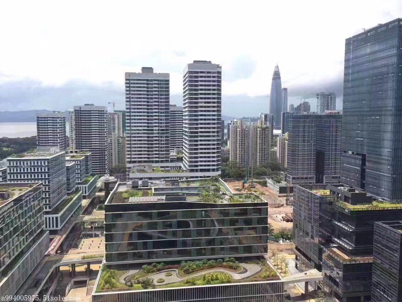 深圳湾科技生态园招商处 地铁口 免佣出租