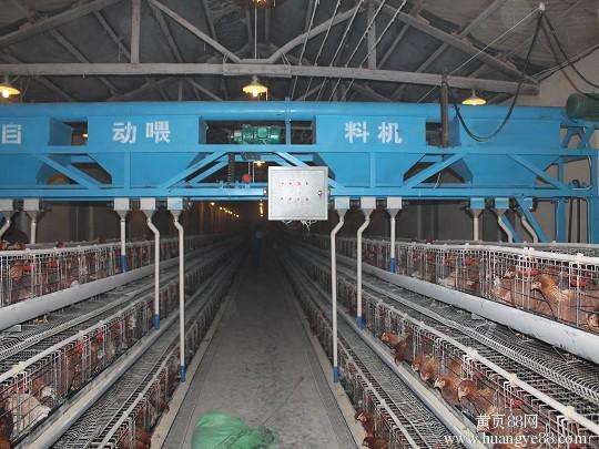 养鸡自动化设备龙门式上料机养鸭设备自动喂