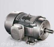 库存有西门子电机，6SN1118-0DM31-0AA2