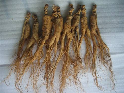 哪里拍卖吉林人参成交率高