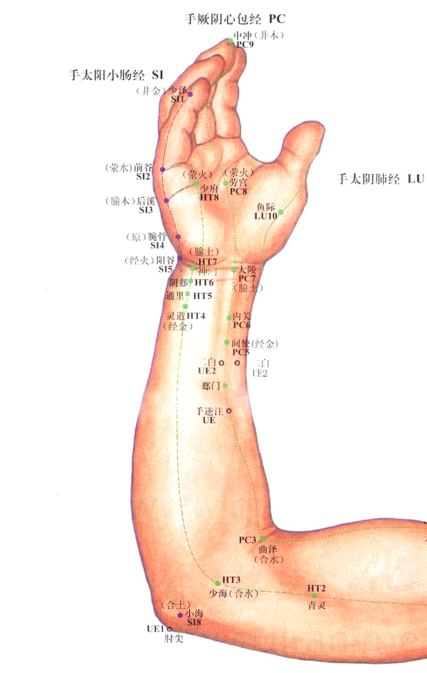 阳谷 yánggǔ《灵枢·本输》          【定位】在手腕尺侧,当