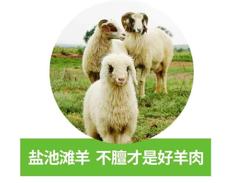 舌尖上的宁夏滩羊肉大羊为美白条羊