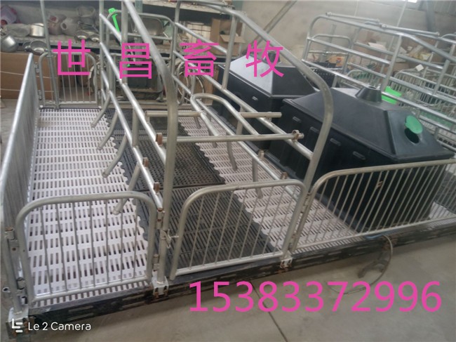 采购母猪定位栏上淘宝母猪产床拼团价格钜惠