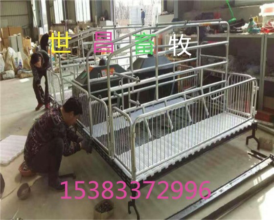 采购母猪定位栏上淘宝母猪产床拼团价格钜惠
