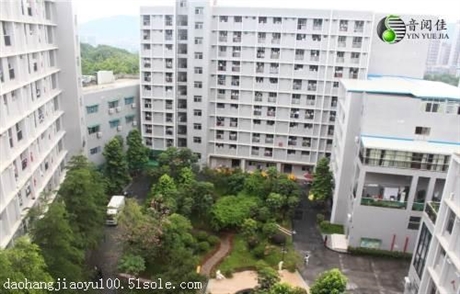 家长推荐的2019广州音乐艺考培训机构首选十