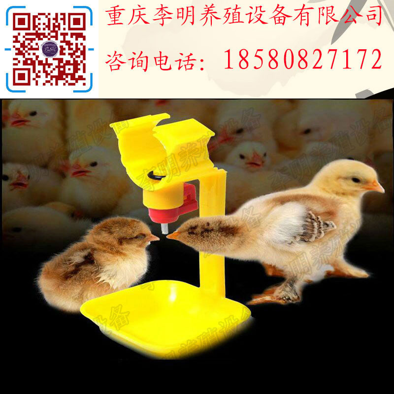卡式乳头饮水器 球阀饮水 双碗饮
