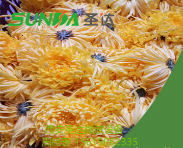 微波菊花烘干机菊花杀青菊花干燥