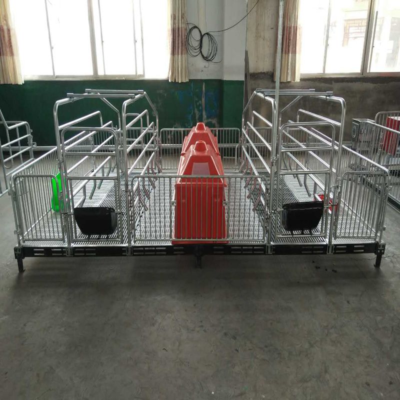 母猪产床热镀锌母猪产床母猪产床生产厂家