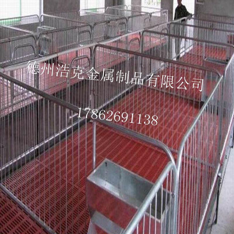 猪仔保育床小猪保育床双体猪仔保育床价格
