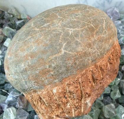 2018年恐龙蛋化石交易流程