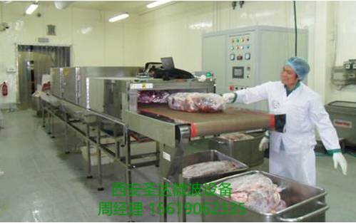 肉类微波解冻设备西安圣达微波设备
