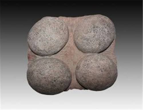 四连体恐龙蛋化石真伪辨别哪里权威