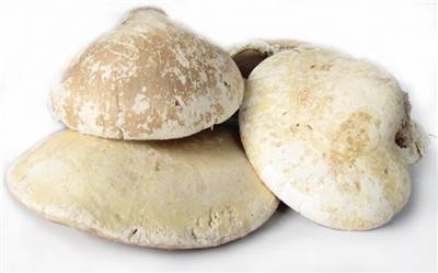 白灵芝怎么拍卖价格高呢