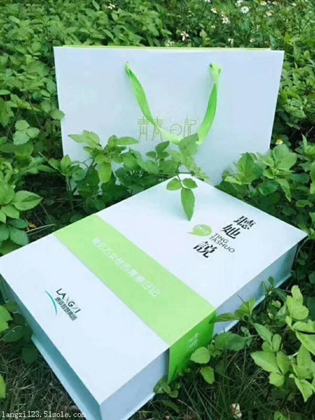 青春日记卫生巾