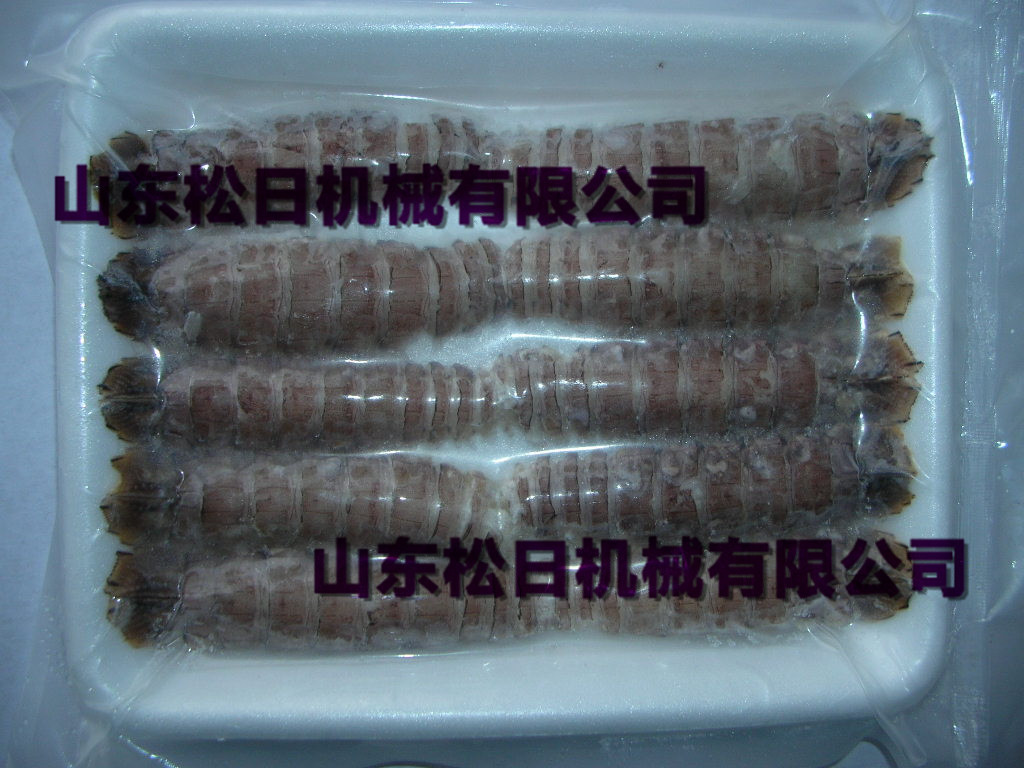 供应全自动酱卤肉真空包装机