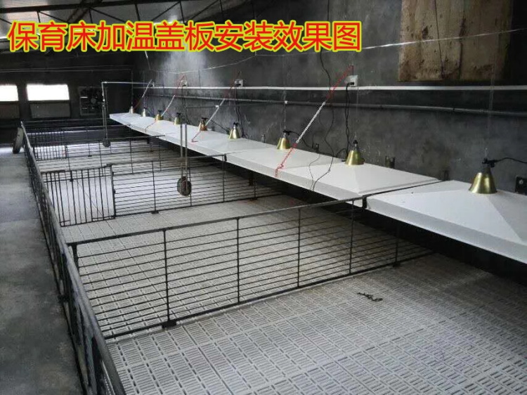 猪用产床配件 仔猪保温箱 小猪取暖箱