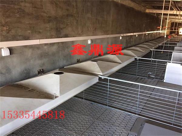 山东仔猪保温箱畜牧养殖设备 猪用产床配件