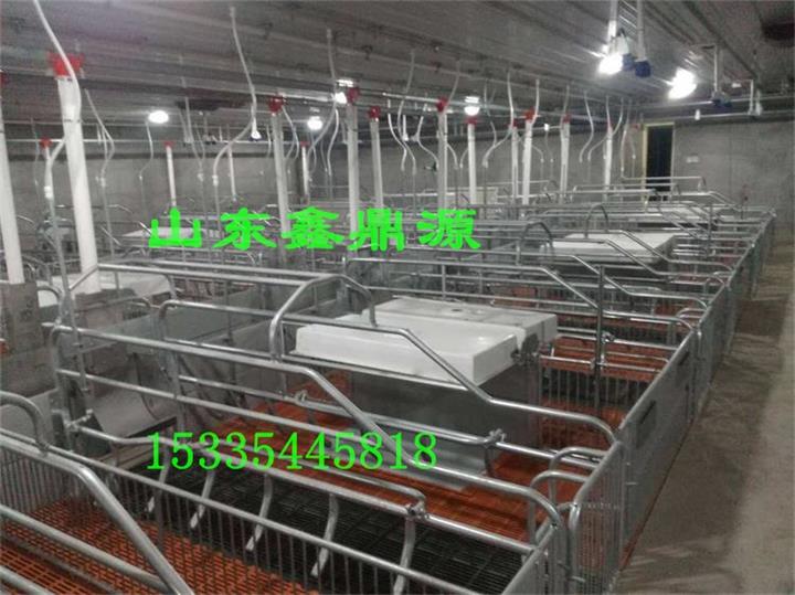 仔猪保温箱 乳猪取暖箱 保育床保温设备