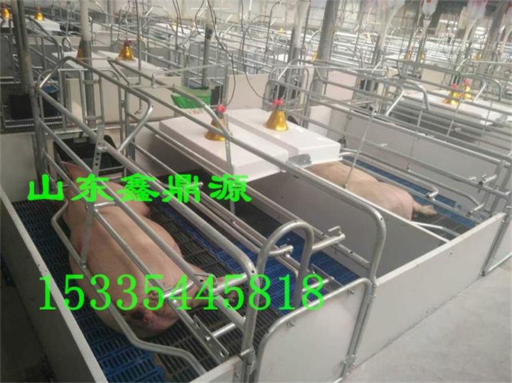 仔猪保温箱 乳猪取暖箱 保育床保温设备
