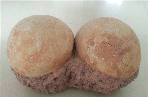 2018年国内二连体恐龙蛋化石的价格