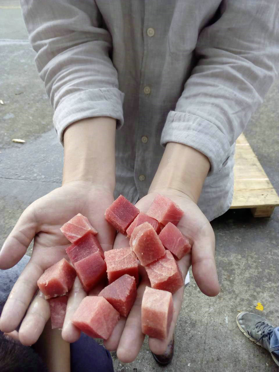 搜索全国一次性切肉丁机厂家 牛羊肉鸡胸肉