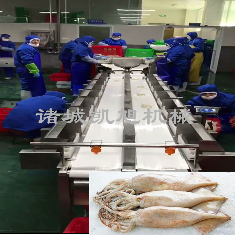 厂家直销鸡爪分选机 称重分选机 精度高