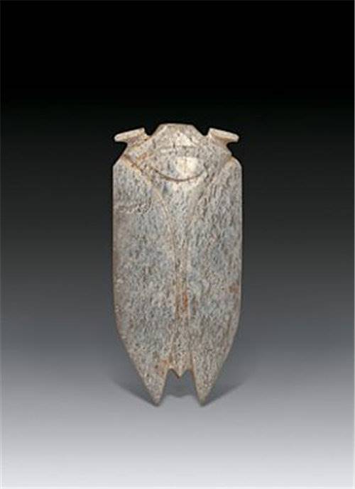 玉蝉在四川阿坝州怎么去拍卖