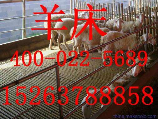 羊床