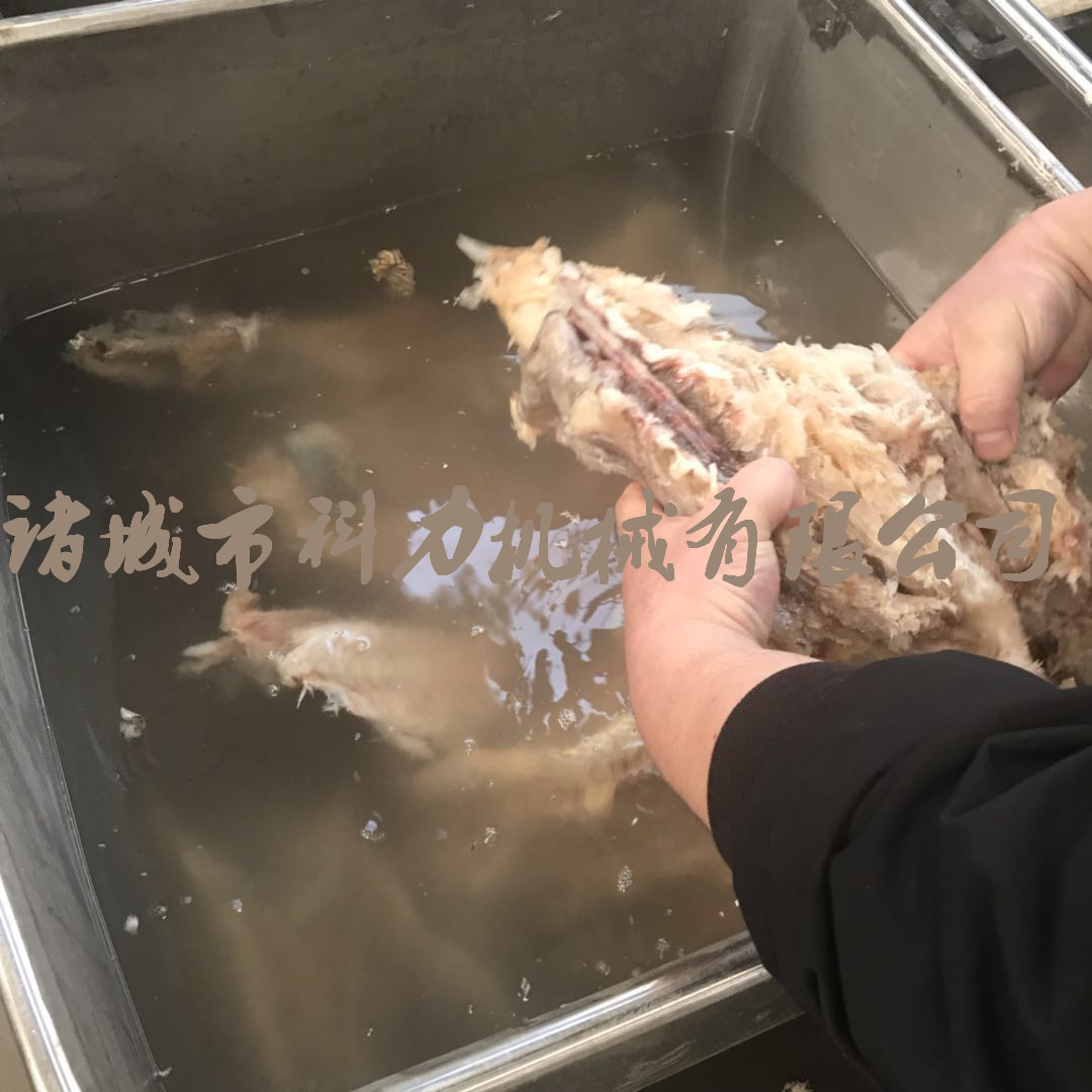 采肉机 鳕鱼去刺机 鱼糜采集机 节能高效