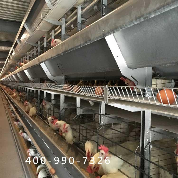 蛋鸡笼子多少钱一组_质量好选山东大佳